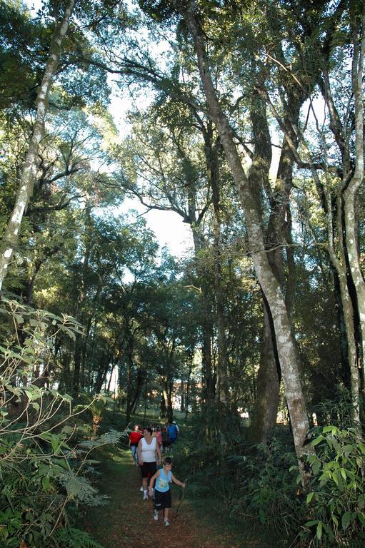 Park 4* Treze Tílias